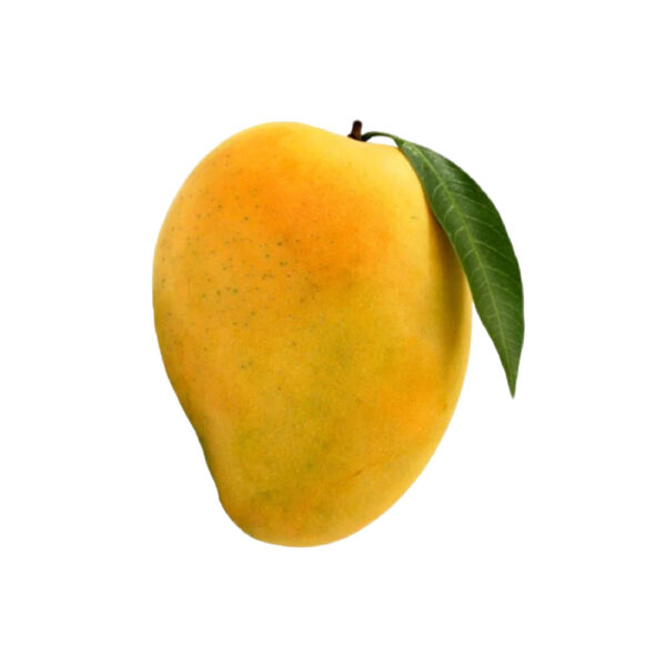15 15