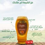 مايونيز شيبوتلي