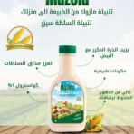 مازولا_تتبيلة_سلطة_سيزر