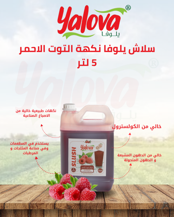 يلوفا_سلاش_توت_احمر_5لتر
