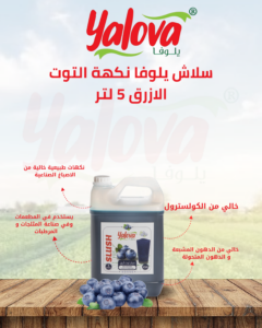 يلوفا_سلاش_توت_ازرق_5لتر