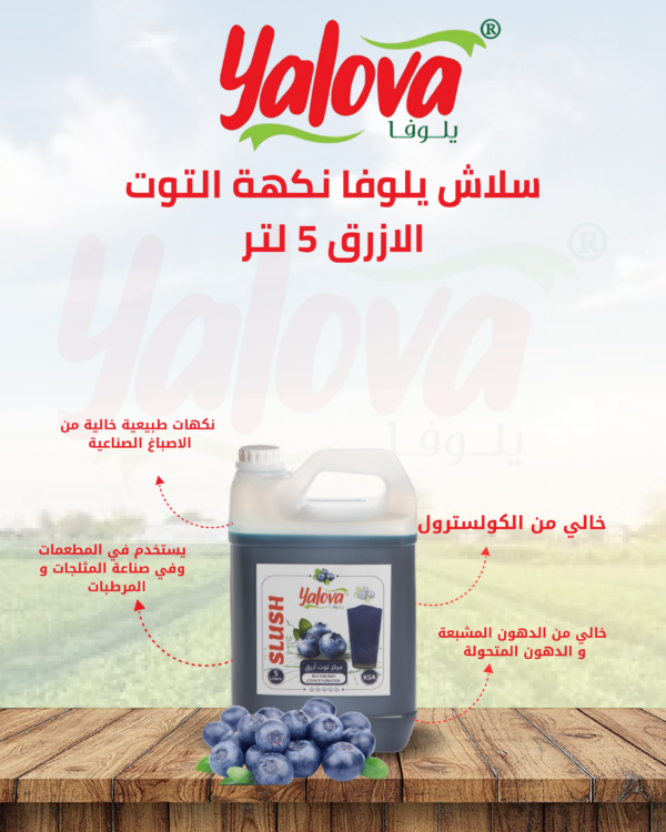 يلوفا_سلاش_توت_ازرق_5لتر