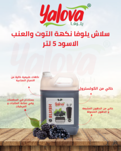 يلوفا_سلاش_توت_وعنب_اسود_5لتر