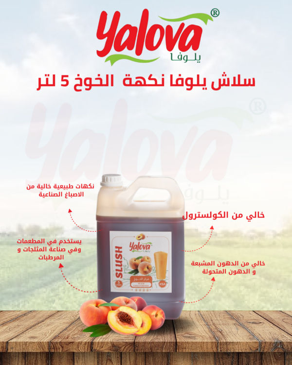 يلوفا_سلاش_خوخ_5لتر