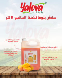 يلوفا_سلاش_مانجو_5لتر